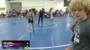 136 lbs Round 1 (8 Team) - Will McNeal, Pennsylvania Blue vs Collin Hamm, Wisconsin