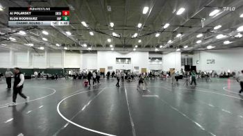 133 lbs Champ. Round 1 - Aj Polansky, Southwest Minnesota State vs Elon Rodriguez, UW-Parkside