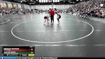 138 lbs Champ. Round 3 - Easton Davis, Wittenberg-Birnamwood vs Bradley Rupnow, Watertown