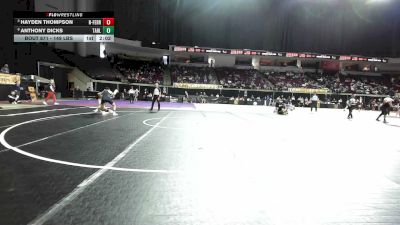 149 lbs Quarterfinal - Hayden Thompson, Ferrum College (NCWA) vs Anthony Dicks, Tarleton State