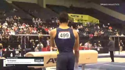 Tai Gopaul - Pommel Horse, Lakeshore Academy of Art Gymnastics - 2021 USA Gymnastics Development Program National Championships