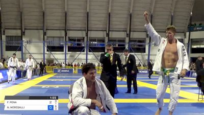 FELIPE PENA vs NICHOLAS MEREGALI 2018 World IBJJF Jiu-Jitsu Championship