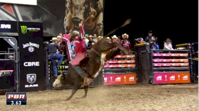 PBR Australia: Sydney State of Origin