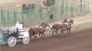 2019 World Professional Chuckwagon Association | Grande Prairie Stompede | Day Five