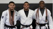 The New Black, Brown & Purple Belts Promoted After 2019 IBJJF Worlds