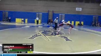 105 lbs Champ. Round 1 - Adriah Blue, White River vs Caila Rice, Clarkston