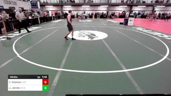 135A lbs Quarterfinal - Colin Kacena, Lake Highland Prep vs Jayden James, Delbarton