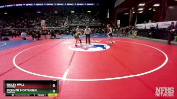 100 lbs Quarterfinal - McKinzie Mortensen, Pinedale vs Hailey Wall, Worland