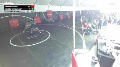 175 lbs Cons. Round 2 - Damian Pelagio, Villa Park High School vs Hayden Whynaught, Team Thunder
