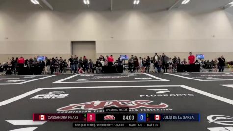 Cassandra Peake vs Julio De La Garza 2025 ADCC Niagara Open