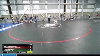 74 lbs Cons. Round 4 - Tate Harshman, Sumner Panthers Jr. Wrestling vs Luke Provost, Cowboy Mat Club