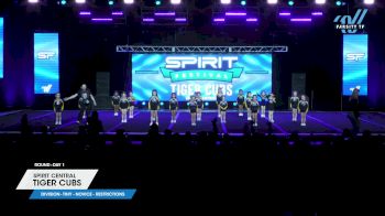 Spirit Central - Tiger Cubs [2025 L1 Tiny - Novice - Restrictions Day 1] 2025 Spirit Fest Grand Nationals