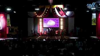 Cheer Athletics - Charlotte - ReignCats [2024 L5 Senior Day 1] 2024 ASC Battle Under the Big Top Grand Nationals