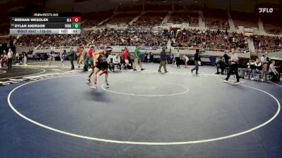 138-D4 Cons. Semi - Brenan Wesolek, Arizona Lutheran Academy vs Dylan Andrade, Yuma Catholic High School