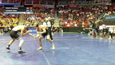 2A-126 lbs Cons. Round 2 - Andrew Reed, North Polk vs Brody Buhman, Assumption, Davenport