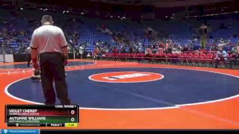 155 lbs Cons. Round 1 - Violet Cherep, Downers Grove (South) vs Autumne Williams, Bartonville (Limestone)