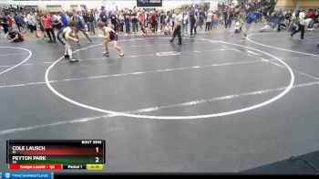 120 lbs Cons. Round 3 - Peyton Park, OK vs Cole Lausch, MI