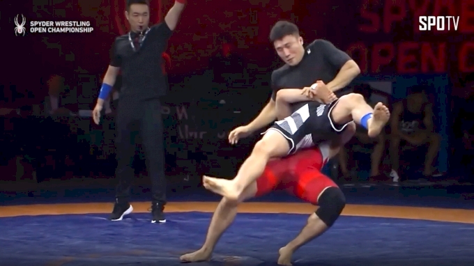 easy jiu jitsu moves against wrestlers
