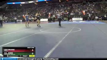 Quarterfinal - Levi Drueke, O`Neill vs Cal Janke, Archbishop Bergan