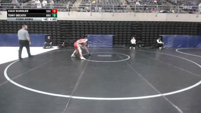 135 lbs Consolation - Cole Schisler, York Springs vs Tony DeCato, Winchester