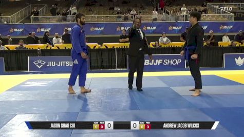 Andrew Jacob Wilcox vs Jason Shao Cui 2026 Pan Jiu Jitsu IBJJF Championship