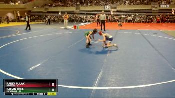 60 lbs Semis (4 Team) - Radly Pulak, Brainerd vs Calvin Doll, Paynesville