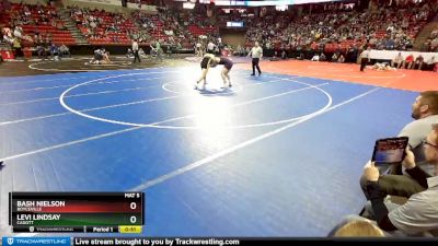 D3-195 lbs Quarterfinal - Levi Lindsay, Cadott vs Bash Nielson, Boyceville