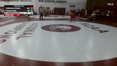 157 lbs Champ. Round 1 - Christian Stanek, Central vs Lincoln Fink, Sioux Falls