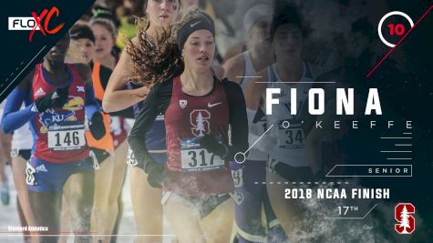 Track  News, Videos & Articles - FloTrack