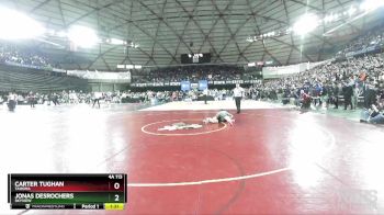 4A 113 lbs Quarterfinal - Jonas DesRochers, Skyview vs Carter Tughan, Tahoma