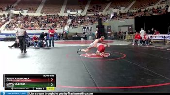 D4-157 lbs Cons. Round 2 - Andy Anguamea, Santa Cruz Valley Union Hs vs David Allred, Willcox