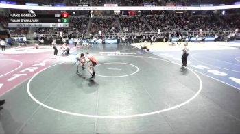 II-150 lbs Champ. Round 1 - Liam O`Sullivan, Pearl River vs Jake Morello, Newfane