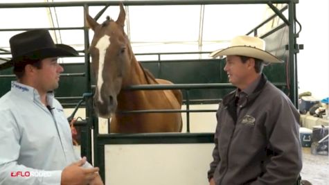 Equine Outfit Of Excellence | Jack | Champion Right Leader