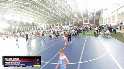 59 lbs Cons. Semi - Roscoe Sands, Team Prestige Wrestling vs Aiden Sanchez, Sanderson Wrestling Academy