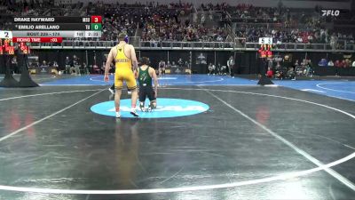 174 lbs Cons. Round 2 - Emilio Arellano, Tiffin vs Drake Hayward, Minnesota St.