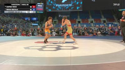 138 lbs Champ. Rd Of 16 - Aspen Tritz, WI vs Mihai Necula, GA