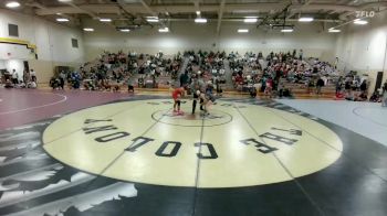 110 lbs Quarterfinal - Whitlie Brown, Dallas Skyline vs Analee Holguin, Princeton