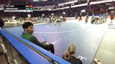 157 lbs Quarterfinal - Jameson Davis, Selkirk vs Joey Rush, Auburn