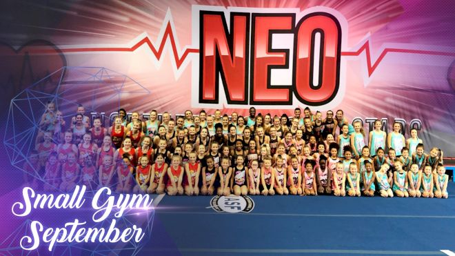 Meet The Teams Of N.E.O. All Stars