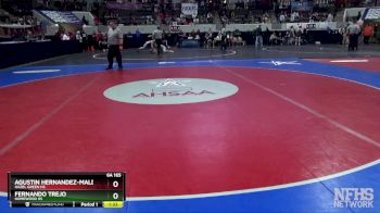 6A 165 lbs Quarterfinal - Agustin Hernandez-Maldonado, Hazel Green HS vs Fernando Trejo, Homewood Hs