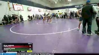 195 lbs Quarterfinal - Hudson Davis, Newberg vs Klay Vargas, Hanford