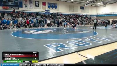 170 lbs Quarterfinal - Jed Wester, St. Michael-Albertville vs Dalton Vanderbeek, Princeton