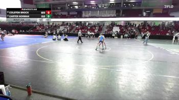113 lbs Cons. Round 2 - Carter Norman, Caldwell vs Colston Brock, Mountain View