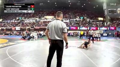 AA - 110 lbs Semifinal - Caleb Poe-Hatten, Flathead (Kalispell) vs Cody Westlake, Belgrade