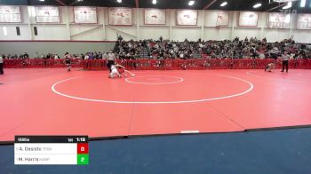 126 lbs Quarterfinal - Angelo Desisto, Tewksbury vs Michaell Harris, Hampden Charter East