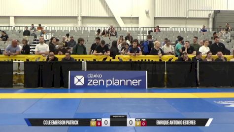 Enrique Antonio Esteves vs Cole Emerson Patrick 2025 World IBJJF Jiu-Jitsu No-Gi Championship