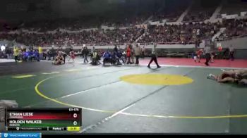 D1-175 lbs Cons. Round 3 - Holden Walker, Dobson vs Ethan Liese, Chaparral