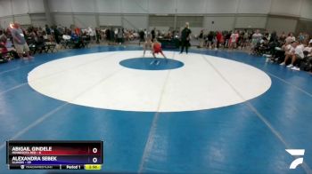 106 lbs Quarters & 1st Wb (16 Team) - Abigail Gindele, Minnesota Red vs Alexandra Sebek, Illinois