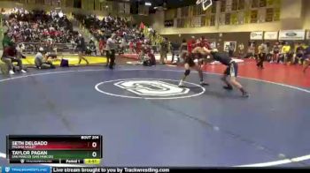 132 lbs Cons. Round 3 - Seth Delgado, Paloma Valley vs Taylor Pagan, San Marcos (San Marcos)