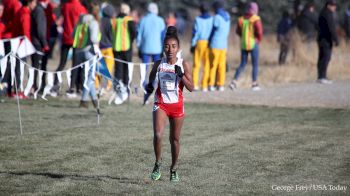 On The Run: Let's Get Ready For DI XC Regionals